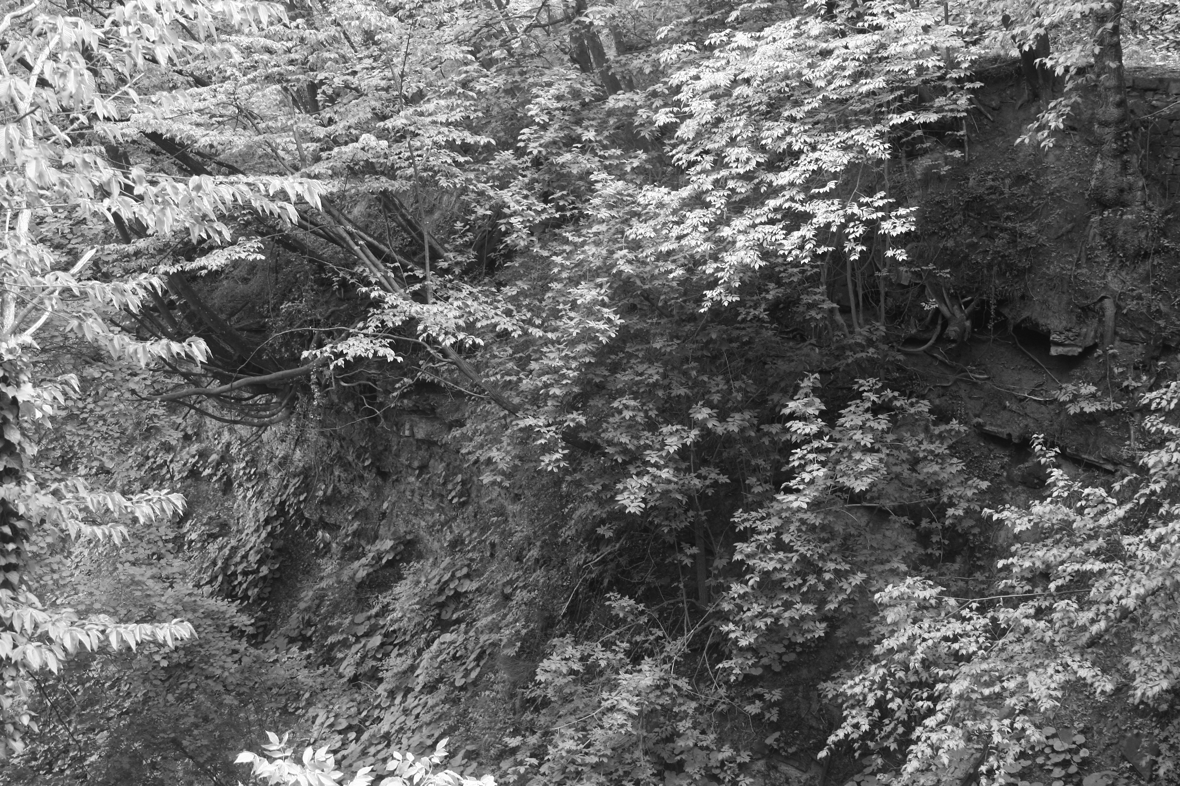 Christina Oldani Foto 56