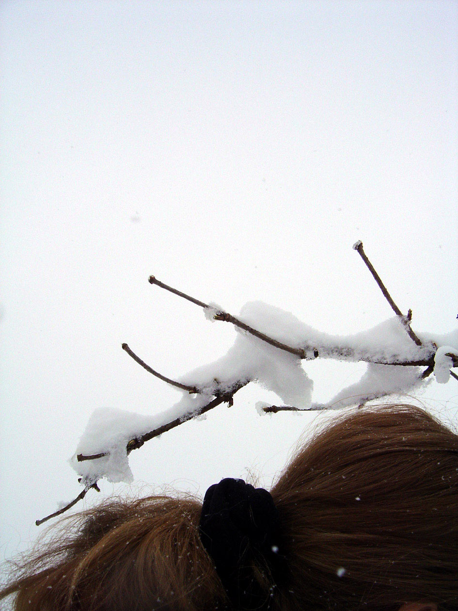 Christina Oldani Fotografie 10