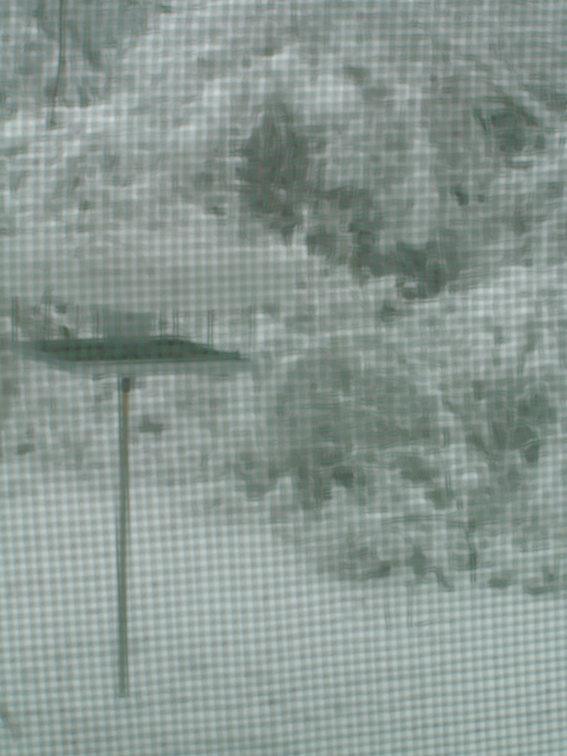 Christina Oldani Fotos 27